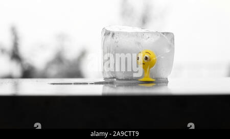 Gelber Gummi Spielzeug smiley in einen Eiswürfel schmelzen in der Sonne eingefroren Stockfoto