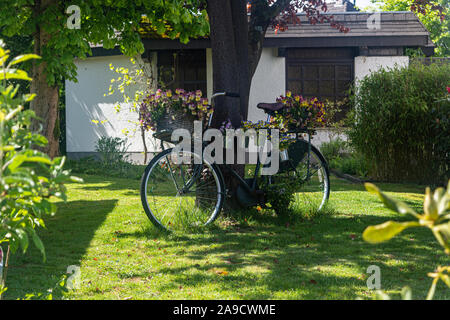 Altes Fahrrad mit Vasen mit Blumen, grünen Rasen eingerichtet, Bäume Stockfoto