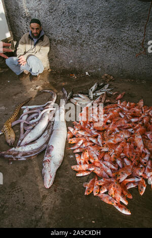 Fischmarkt am Hafen von Tanger, Marokko Stockfoto