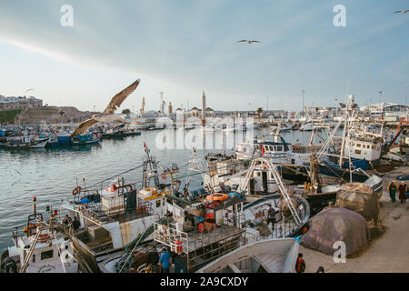 Blick über den Hafen von Tanger, Marokko Stockfoto