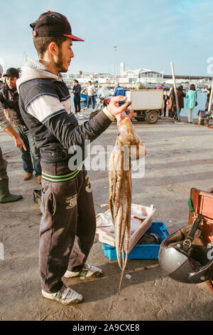 Fischmarkt am Hafen von Tanger, Marokko Stockfoto