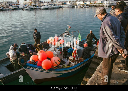 Fischmarkt am Hafen von Tanger, Marokko Stockfoto