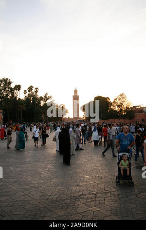 Cobra. Djemaa el-Fna, marrakech, Marrakesch, Marokko, Nordafrika, Afrika, Stockfoto