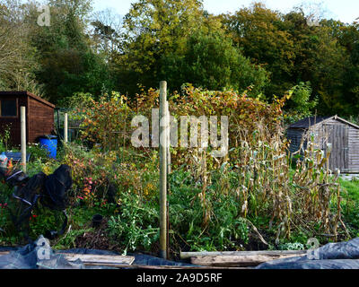 Zuteilung Grundstück in London, England, UK im November Herbst gesehen. Stockfoto