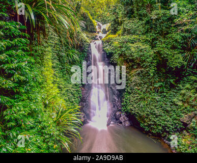 Gwongurai fällt, Lamington National Park, Queensland, Australien Regenwald im Lamington Hochebene, in der Nähe von BRisbane. Stockfoto