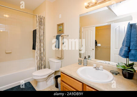 Ein Waschbecken, Wc und Dusche ist im Cypress Cove Apartment Wohnungen in Mobile, Alabama. Stockfoto