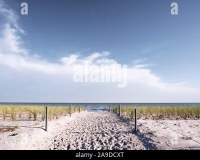 Dünen in der Nähe von Thiessow auf Rügen, Mönchgut. Stockfoto