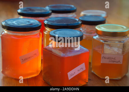 Hausgemachte Crab Apple Gelee - Malus 'Jelly King', Malus x zumi" Professor Sprenger' Malus 'artmouth' Stockfoto