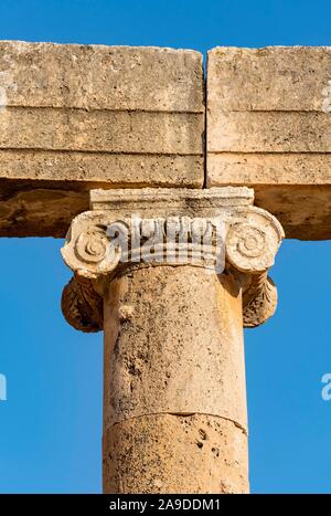 In der Nähe der ionischen Säule capital bei Oval Plaza, Forum, Jerash, Jordanien Stockfoto