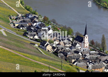 Blick auf Piesport, Mosel, Rheinland-Pfalz, Deutschland Stockfoto