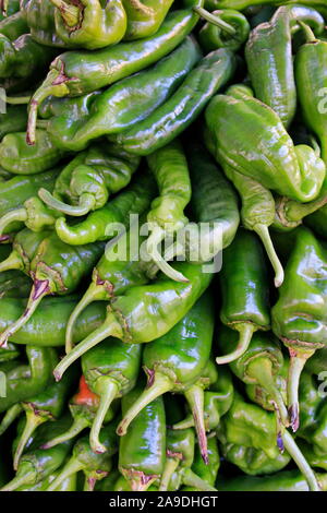 Peperoni auf dem Markt am Sonntag in Port de Pollença, Mallorca, Balearen, Spanien Stockfoto