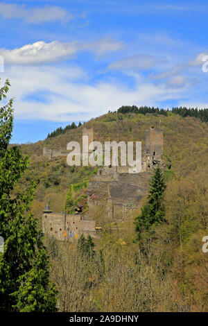 Burgruine Niederburg und Oberburg, Burgen von Manderscheid, Manderscheid, Eifel, Rheinland-Pfalz, Deutschland Stockfoto