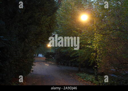 Fuß- und Radweg mit Laternen in den Wallanlagen im Herbst in der Dämmerung, Bremen, Deutschland, Europa Stockfoto