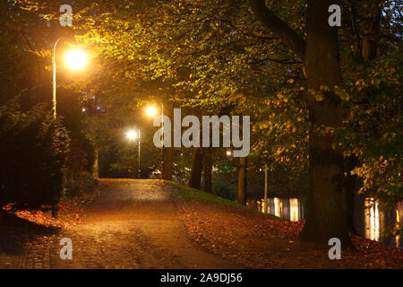 Fuß- und Radweg mit Laternen in den Wallanlagen im Herbst in der Dämmerung, Bremen, Deutschland, Europa Stockfoto