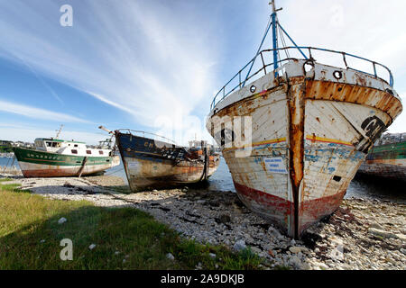Schiffswracks im Hafen von Camaret-sur-Mer, Camaret-sur-Mer, Finistère, Halbinsel Crozon, Atlantik, Bretagne, Frankreich Stockfoto