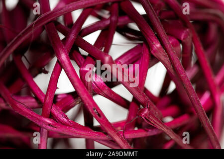 Rosa runde Auslösung Potpourri abstrakten Makro Hintergrund 50 Megapixel Stockfoto