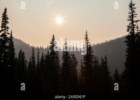 Rauch Luft rund um Mount Rainier National Park im August 2018, Washington, USA. Stockfoto