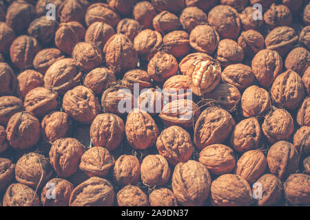 Die Zeit der Ernte - Walnüsse (Juglans regia) out Liegen in der Sonne zu trocknen Stockfoto