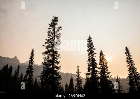 Rauch Luft rund um Mount Rainier National Park im August 2018, Washington, USA. Stockfoto