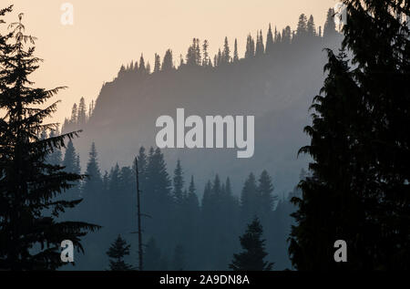 Rauch Luft rund um Mount Rainier National Park im August 2018, Washington, USA. Stockfoto