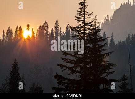 Rauch Luft rund um Mount Rainier National Park im August 2018, Washington, USA. Stockfoto