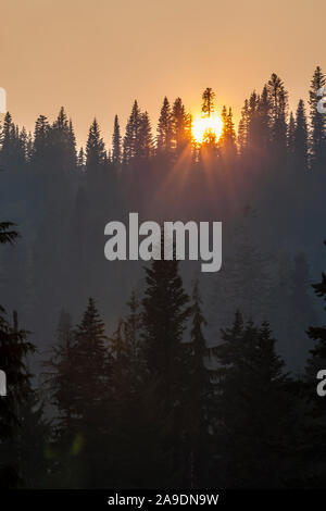 Rauch Luft rund um Mount Rainier National Park im August 2018, Washington, USA. Stockfoto