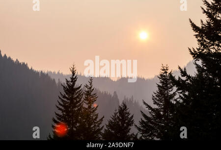 Rauch Luft rund um Mount Rainier National Park im August 2018, Washington, USA. Stockfoto