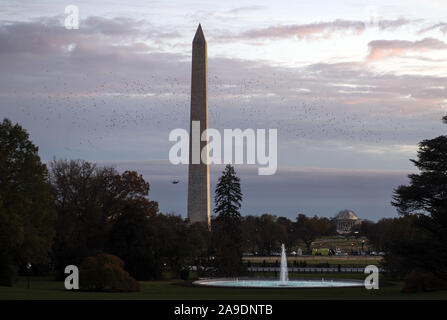 Washington, United States. 14 Nov, 2019. Präsident Donald Trump fährt das Weiße Haus für eine Reise nach Louisiana, in Washington, DC am Donnerstag, 14. November 2019. Foto von Kevin Dietsch/UPI Quelle: UPI/Alamy leben Nachrichten Stockfoto