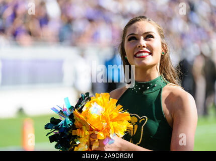 Fort Worth, Texas, USA. 9 Nov, 2019. Baylor Bears Cheerleader während der zweiten Hälfte der NCAA Football Spiel zwischen Baylor Bears und der TCU Horned Frogs an Amon G. Carter Stadion in Fort Worth, Texas. Matthew Lynch/CSM/Alamy leben Nachrichten Stockfoto