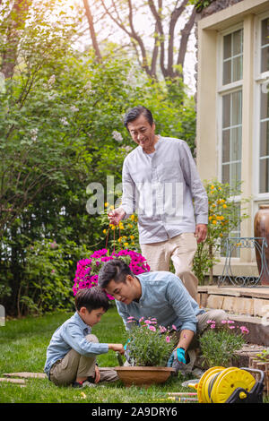 Drei Generationen von Blumen im Garten Stockfoto