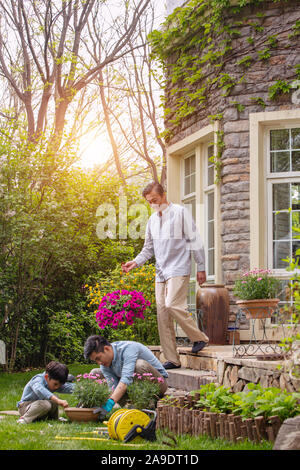 Drei Generationen von Blumen im Garten Stockfoto