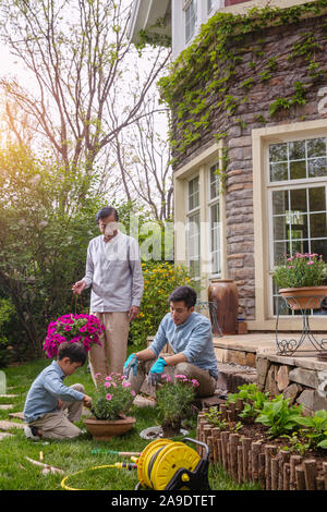 Drei Generationen von Blumen im Garten Stockfoto