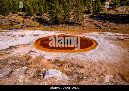 USA, Wyoming, Yellowstone National Park, Old Faithful, Upper Geyser Basin, Wellenfeder Stockfoto