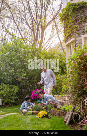 Drei Generationen von Blumen im Garten Stockfoto