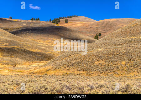 USA, Wyoming, Yellowstone National Park, Tower Roosevelt, Lamar Valley, Rolling Hills Stockfoto