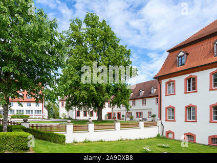 Deutschland, Baden-Württemberg, Dürmentingen - Heudorf, Kalk-Baum im Hof von Schloss Heudorf Stockfoto