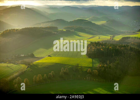 Luftaufnahmen, Abendsonne, herbstliche Stimmung, Feldweg, Seitenstraße, Felder, Landwirtschaft, Stromversorgung, Berghausen, Meschede, Sauerland, Nordrhein-Westfalen Rhin Stockfoto