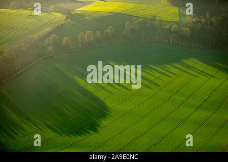 Luftaufnahmen, Abendsonne, herbstliche Stimmung, Feldweg, Seitenstraße, Felder, Landwirtschaft, Stromversorgung, Berghausen, Meschede, Sauerland, Nordrhein-Westfalen Rhin Stockfoto