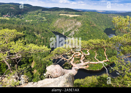 Vyhlidka Maj, Stechovicka prehrada, Svatojanske proudy, Ceska Republika/Blickpunkt Mai, Stechovice Talsperre auf Moldau, Südböhmen, Tschechische republ Stockfoto