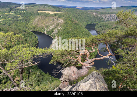 Vyhlidka Maj, Stechovicka prehrada, Svatojanske proudy, Ceska Republika/Blickpunkt Mai, Stechovice Talsperre auf Moldau, Südböhmen, Tschechische republ Stockfoto