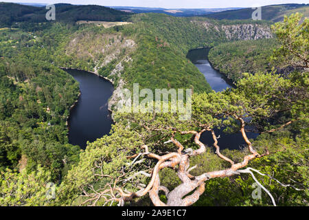 Vyhlidka Maj, Stechovicka prehrada, Svatojanske proudy, Ceska Republika/Blickpunkt Mai, Stechovice Talsperre auf Moldau, Südböhmen, Tschechische republ Stockfoto