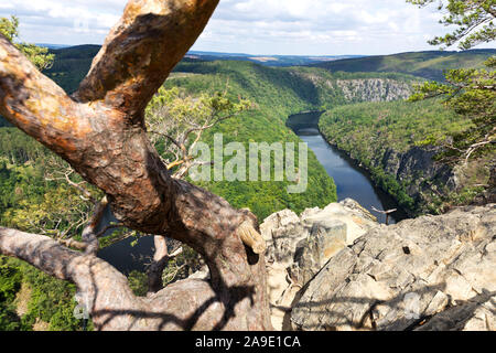 Vyhlidka Maj, Stechovicka prehrada, Svatojanske proudy, Ceska Republika/Blickpunkt Mai, Stechovice Talsperre auf Moldau, Südböhmen, Tschechische republ Stockfoto