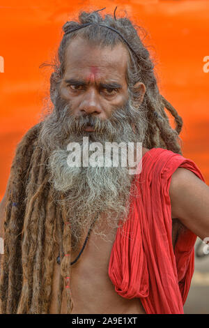 Naga Sadhu mit sehr langen Haaren Portrait, Kumbhmela, Nasik, Maharashtra, Indien Stockfoto