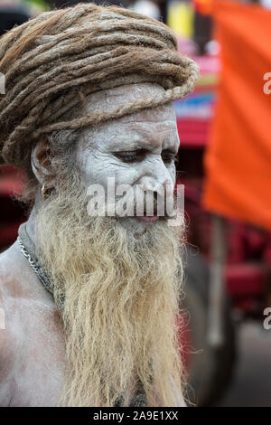 Naga Sadhu Portrait, Kumbhmela, Nasik, Maharashtra, Indien Stockfoto