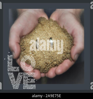 Hochzeit Ringe in Sand, in Händen hielt, mit dem Text der Liebe Stockfoto