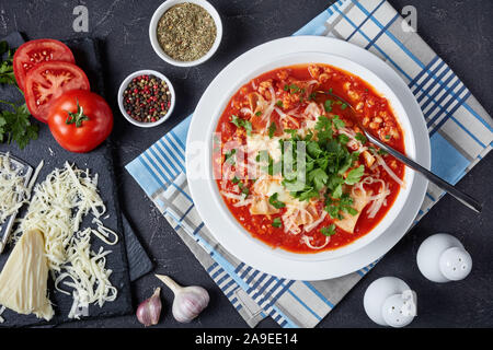Herzhafte Lasagne in eine tröstende Suppe mit Fleisch, Tomaten und italienischen Kräutern und Käse geladen, melty, Nähe flatlay Stockfoto