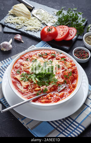 Herzhafte Lasagne in eine tröstende Suppe mit Fleisch, Tomaten und italienischen Kräutern und die melty Käse geladen, Nahaufnahme, vertikale Ansicht Stockfoto