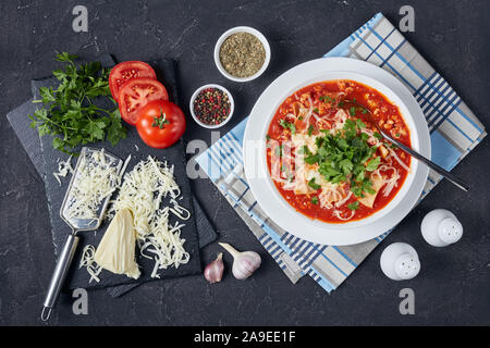 Herzhafte Lasagne in eine tröstende Suppe mit Fleisch, Tomaten und italienischen Kräutern und Käse geladen, melty, Nähe flatlay Stockfoto