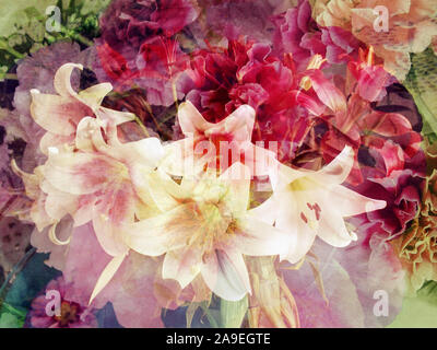 Komponieren, verschiedene Blumen, close-up Stockfoto