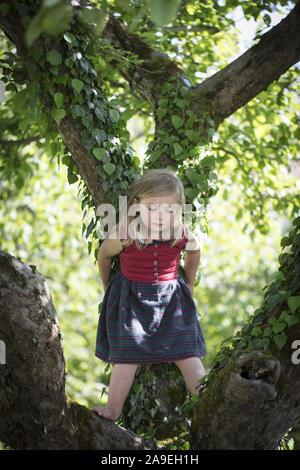 Kind klettern auf apple tree Stockfoto